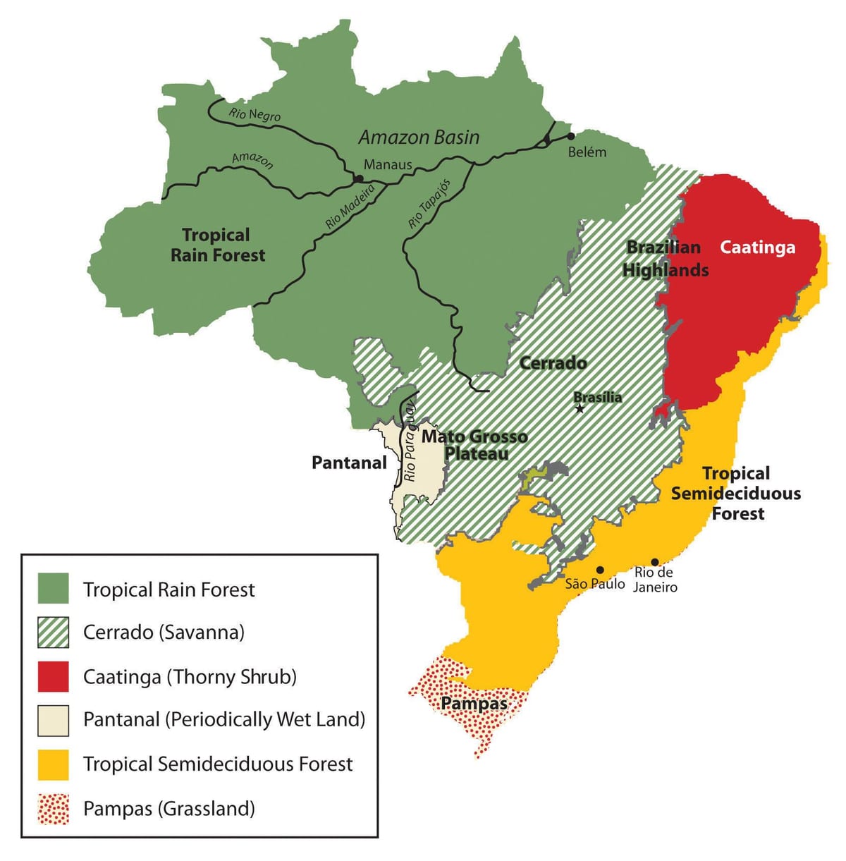 mapa de vegetação do Brasil