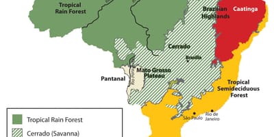 Mapa de vegetação do Brasil