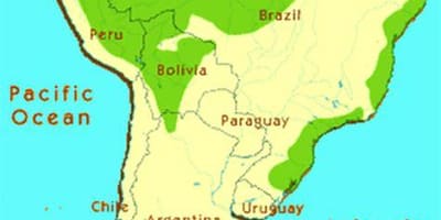Floresta tropical no Brasil mapa