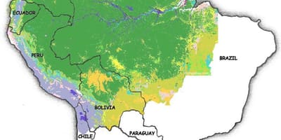 Mapa do Brasil florestas